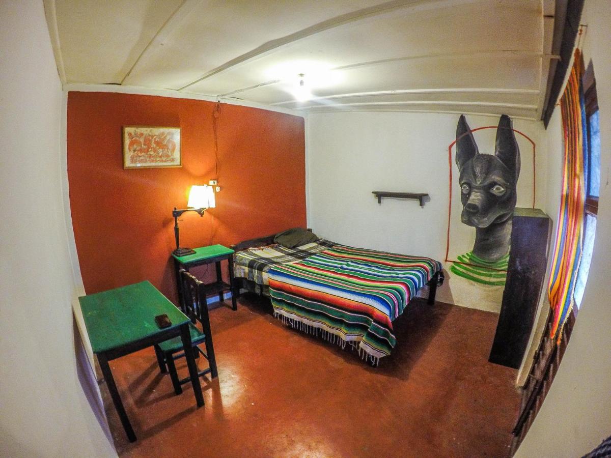 Hostel El Nagual San Cristóbal de Las Casas المظهر الخارجي الصورة