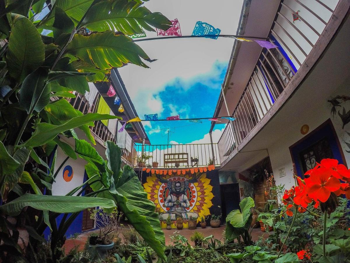 Hostel El Nagual San Cristóbal de Las Casas المظهر الخارجي الصورة