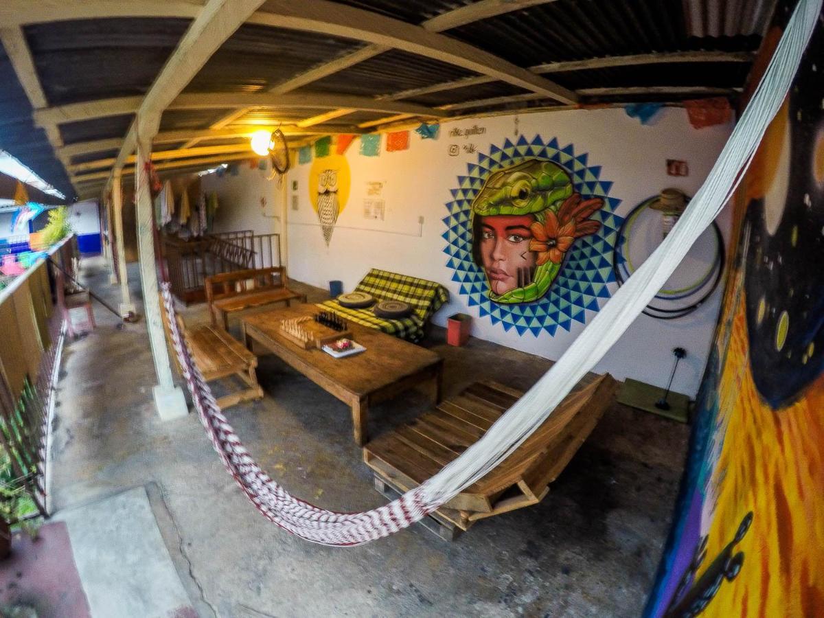 Hostel El Nagual San Cristóbal de Las Casas المظهر الخارجي الصورة
