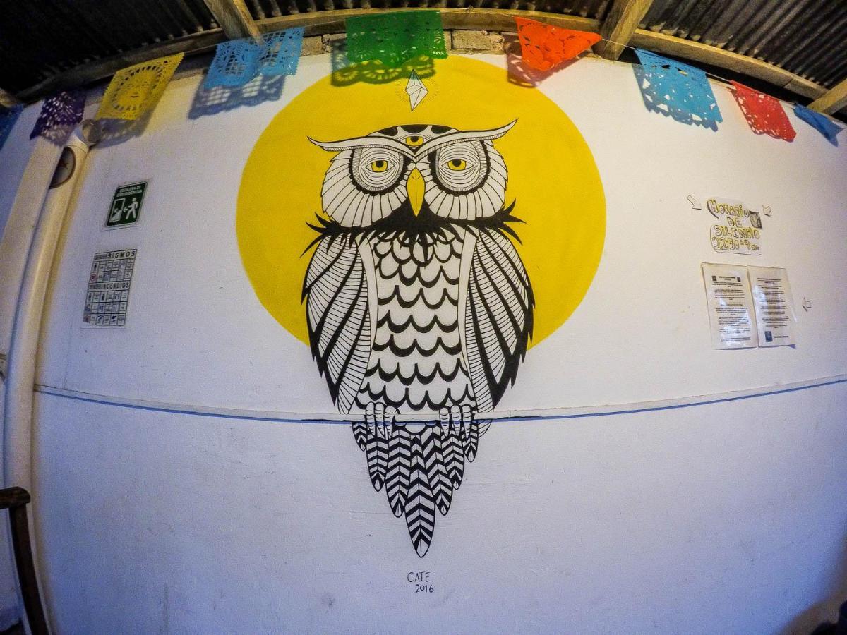 Hostel El Nagual San Cristóbal de Las Casas المظهر الخارجي الصورة